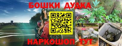 тгк Будённовск