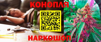 тгк Будённовск