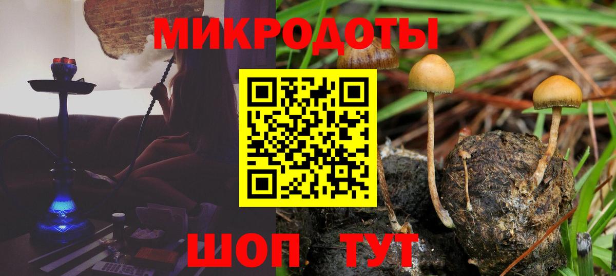 Галлюциногенные грибы Cubensis Славянск-на-Кубани